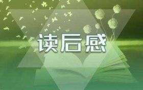 动物小说《狼王梦》读后感700字作文(动物小说《狼王梦》读后感700字作文大全)缩略图